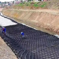 現貨出售 河道改流固土護坡蜂巢土工格室 填土種植黑色植草格